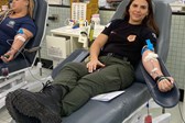 Doação de Sangue 4
