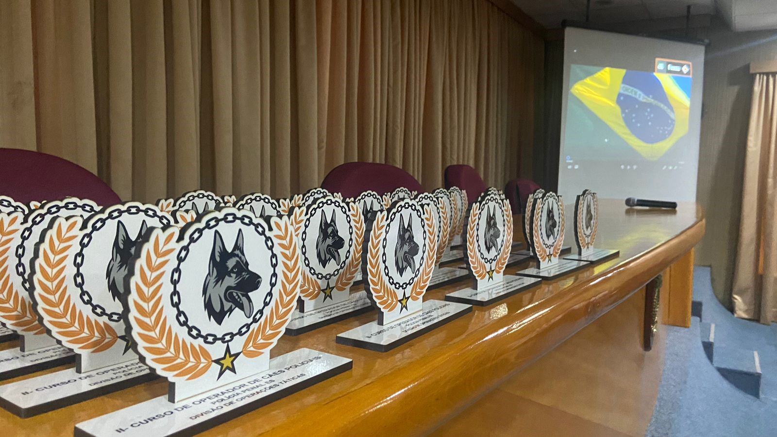 Formatura COCP